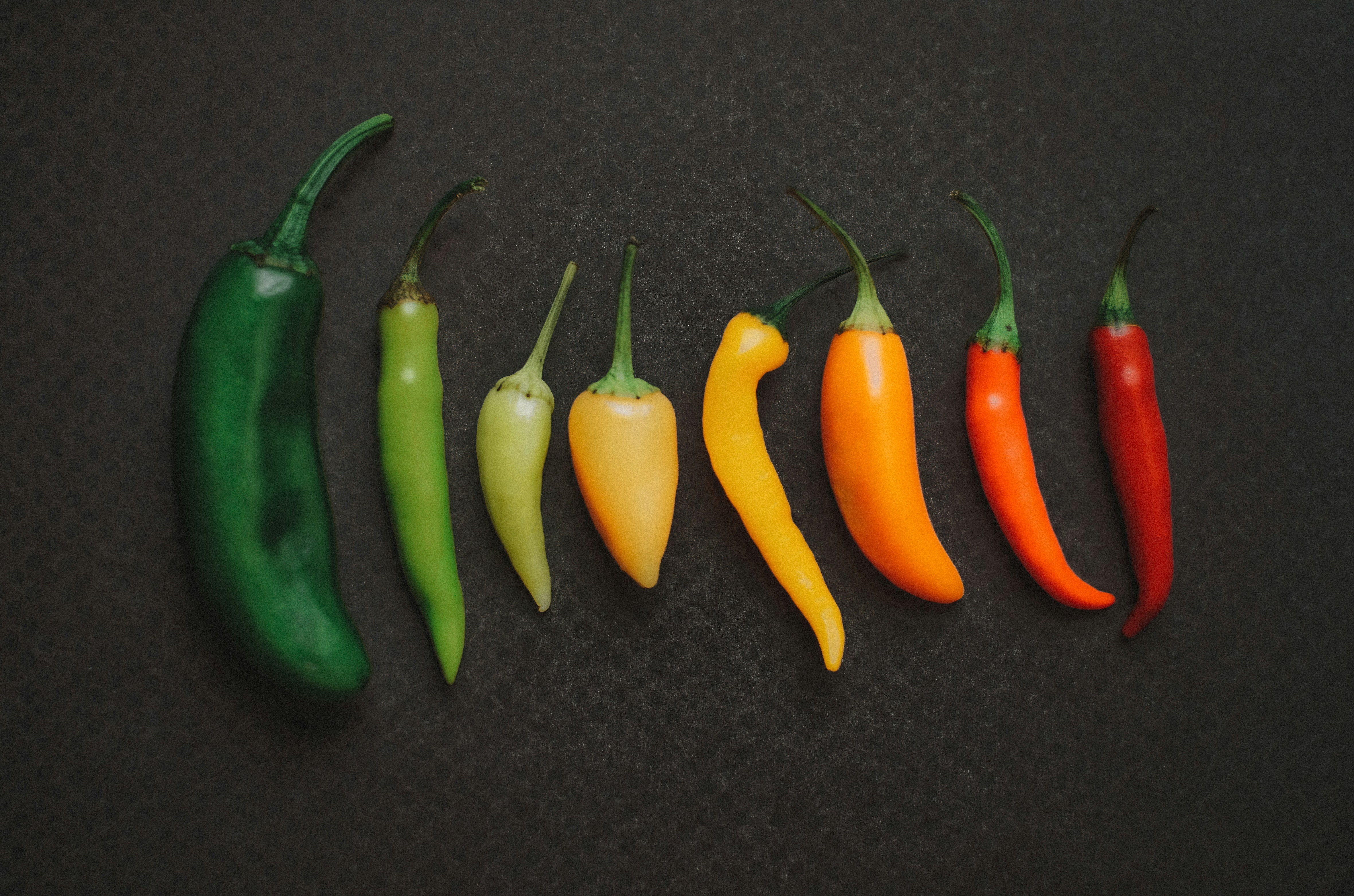 Piments hydroponiques premium - AGRINOVA-FARM Sénégal